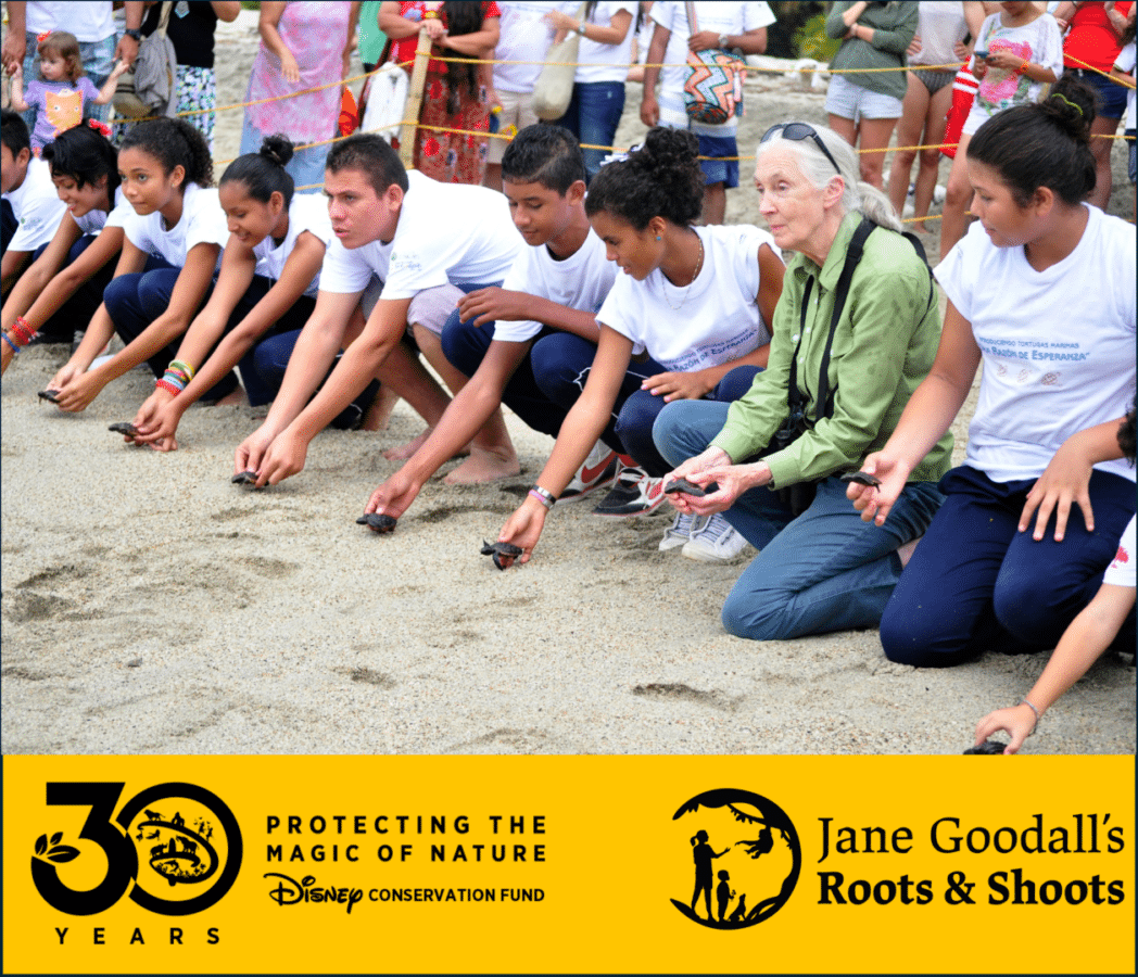 Conservation and Activities at Walt Disney World Pixar Hoppers