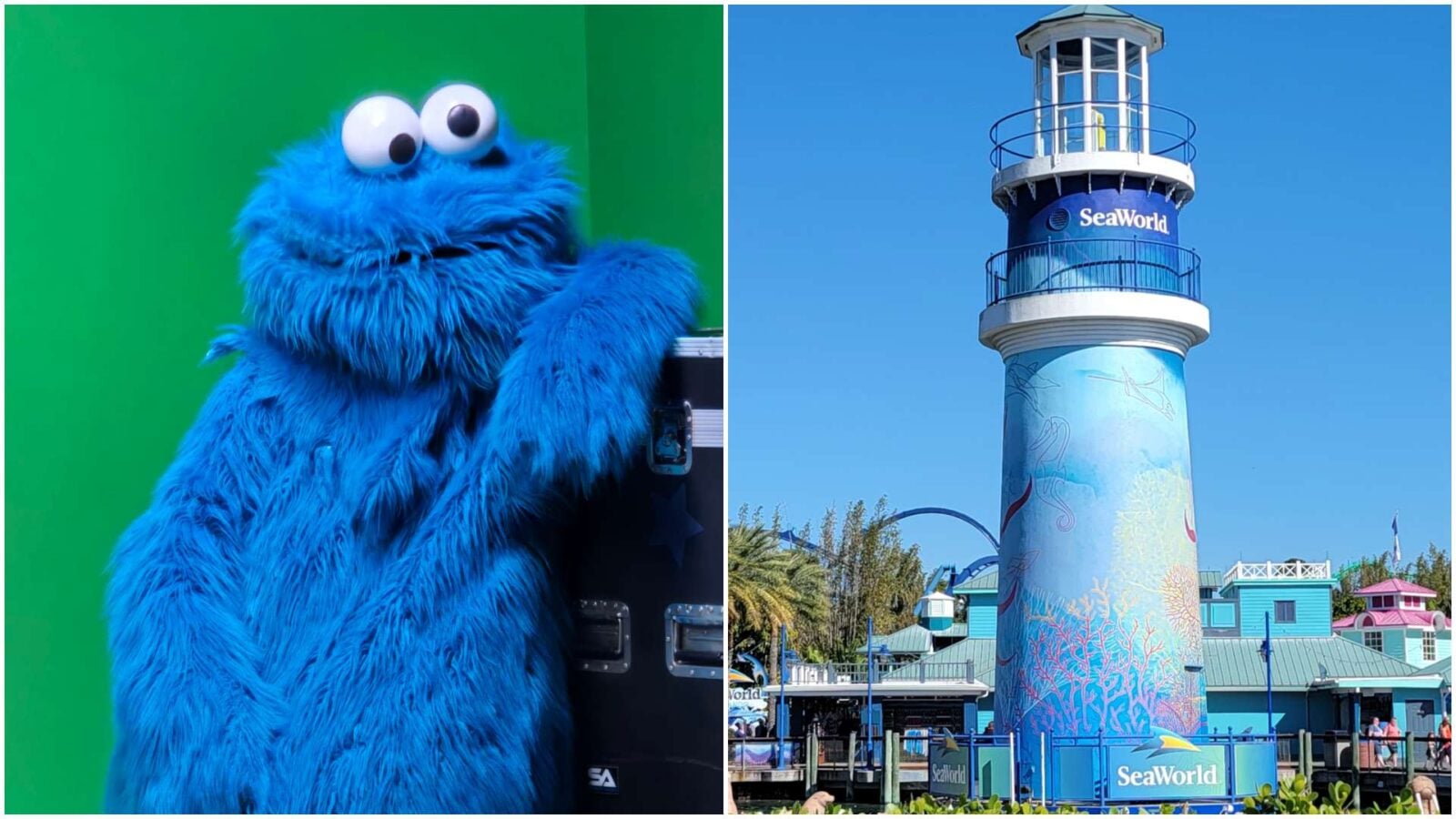 SeaWorld Could Lose the Sesame Street License After Sesame Workshop Files Federal Lawsuit