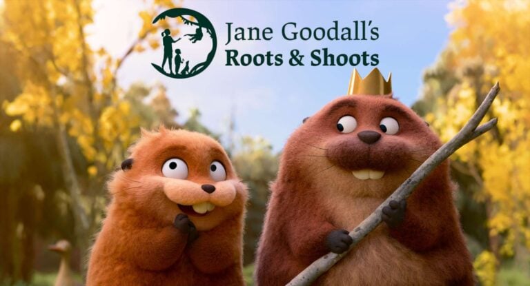 Teens Can Win a Free Trip to Walt Disney World With the New Hoppers Conservation Challenge