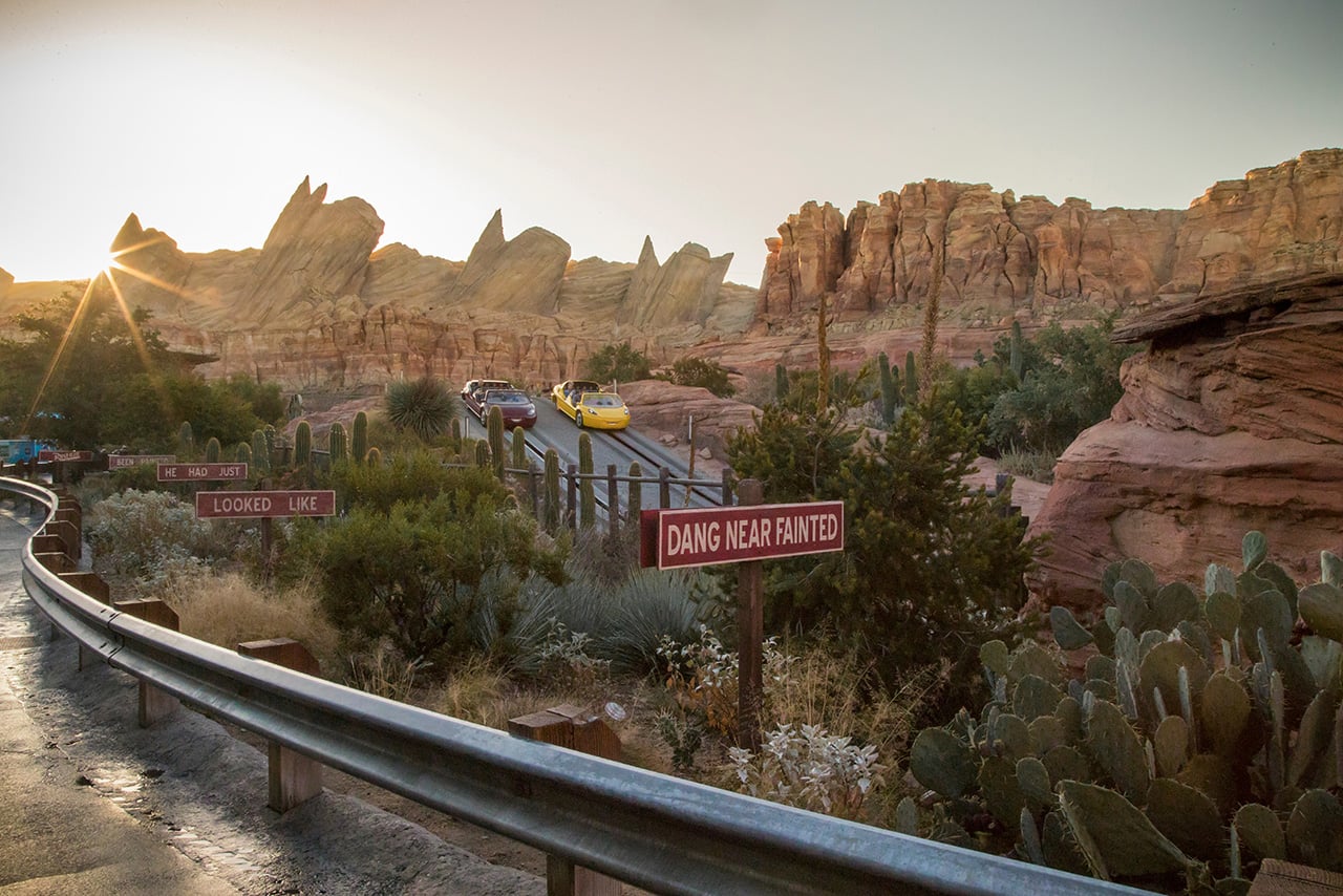 Desert canyon road at sunset with cacti and jagged rock formations a red sign reads DANG NEAR FAINTED