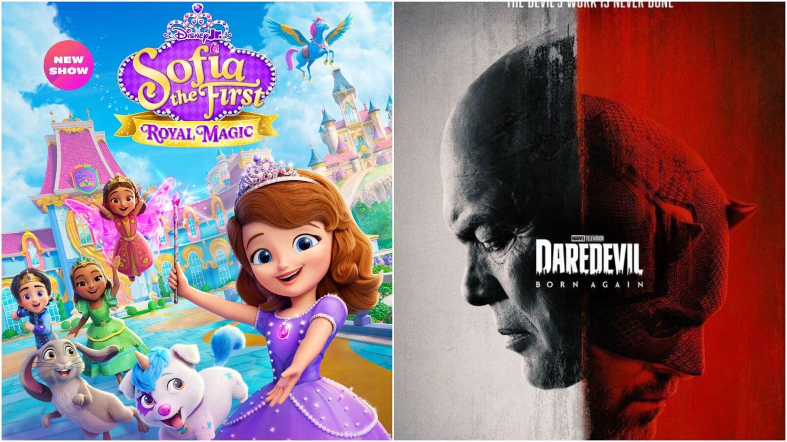 Everything New on Disney+ in May 2026 Including The Punisher Sofia the First and Bluey