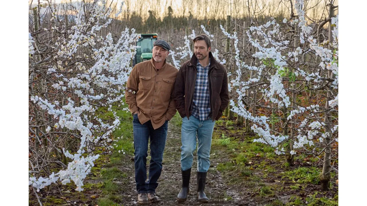 blossomc Fantasy Land News