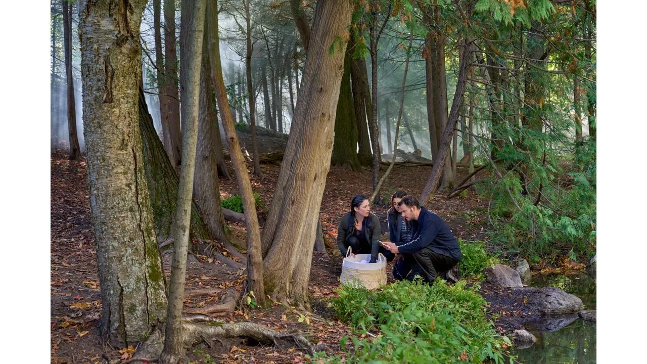 Three people sit in a forest by a small stream gathered around a phone with a wicker basket nearby on the ground