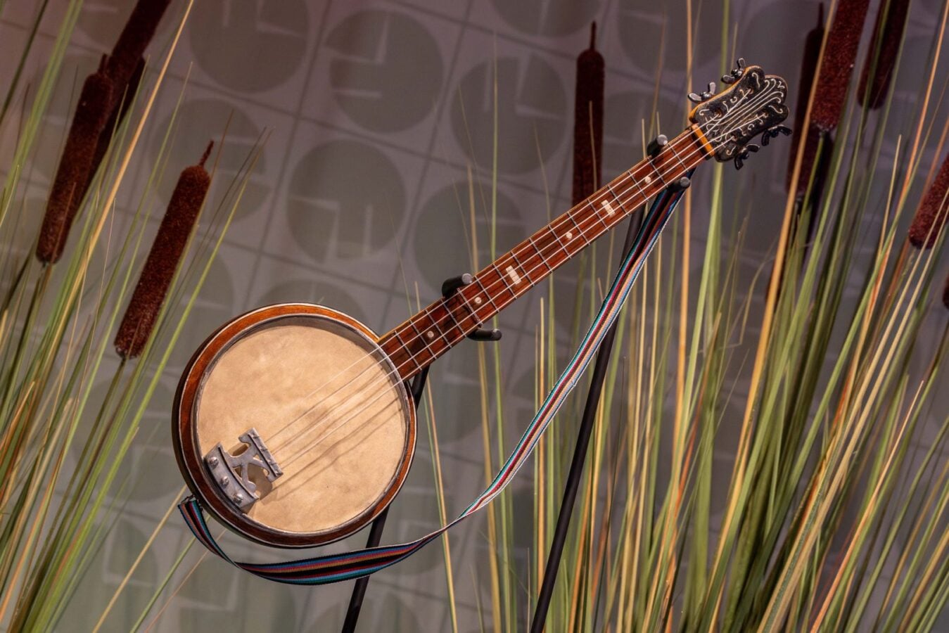 Banjo suspended diagonally among tall dried reeds with a patterned wall in the background displaying its round body and ornate headstock