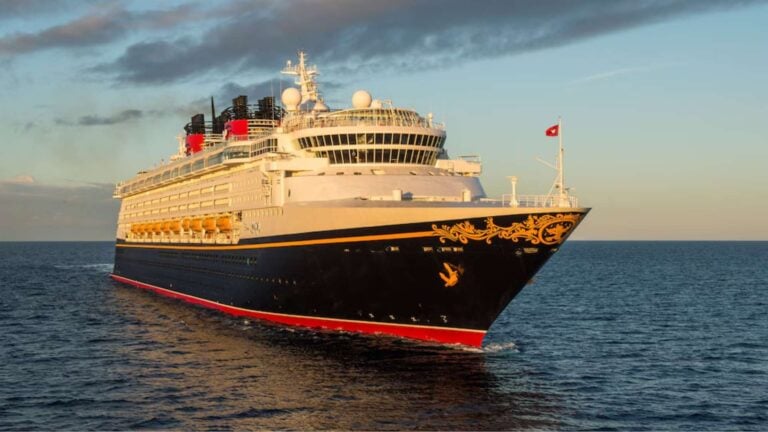 Disney Cruise Line Statement on CBP Operation Tidal Wave and What Actually Happened