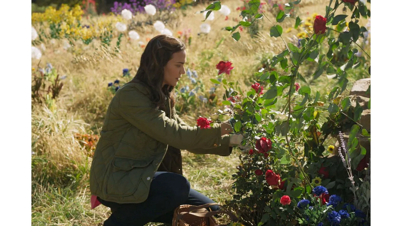Person kneeling in a sunny garden pruning red roses among colorful flowers