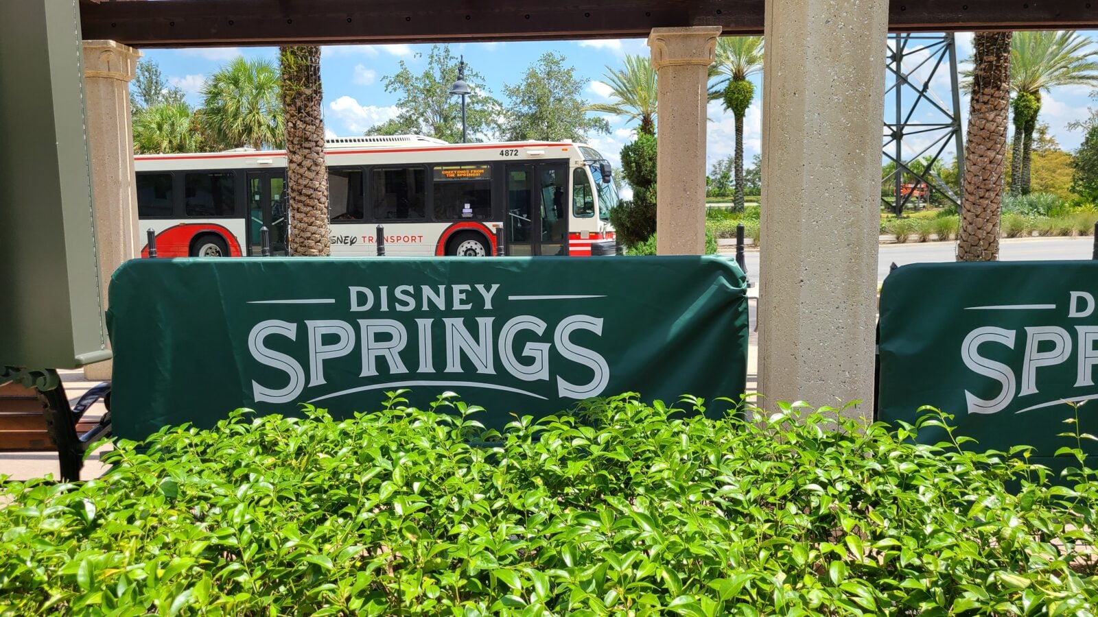 Bus parked behind a green barrier that reads Disney Springs with palm trees and blue sky in a sunny outdoor setting