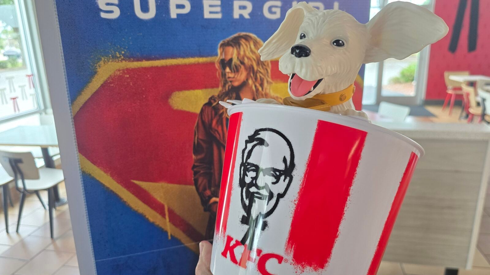 Krypto Collectible Bucket
