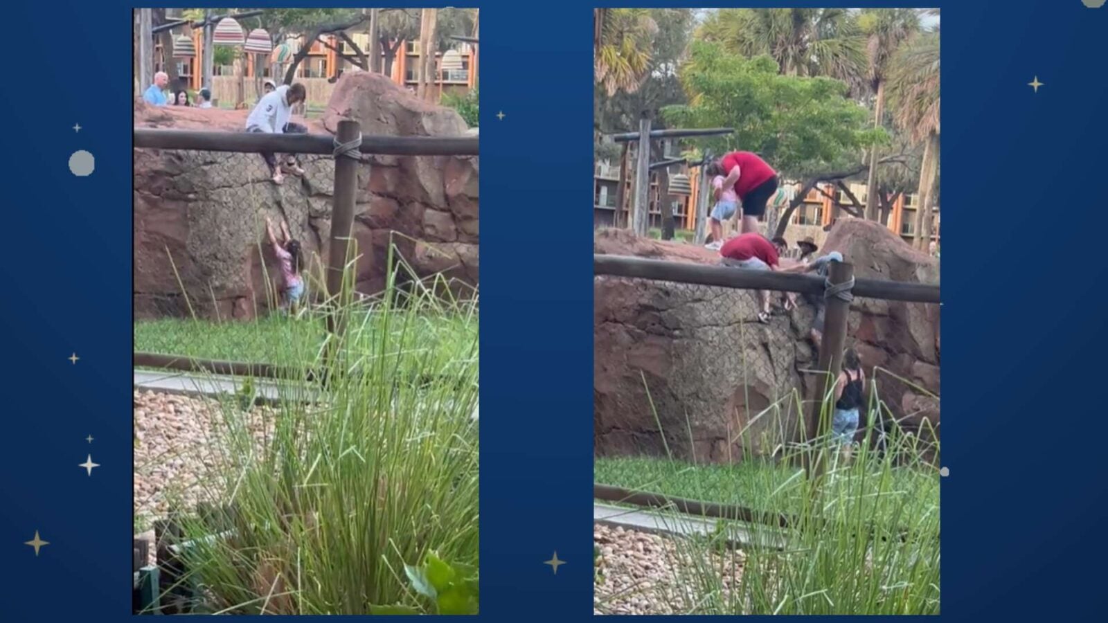 Child Falls Into Animal Enclosure at Disneys Animal Kingdom Lodge