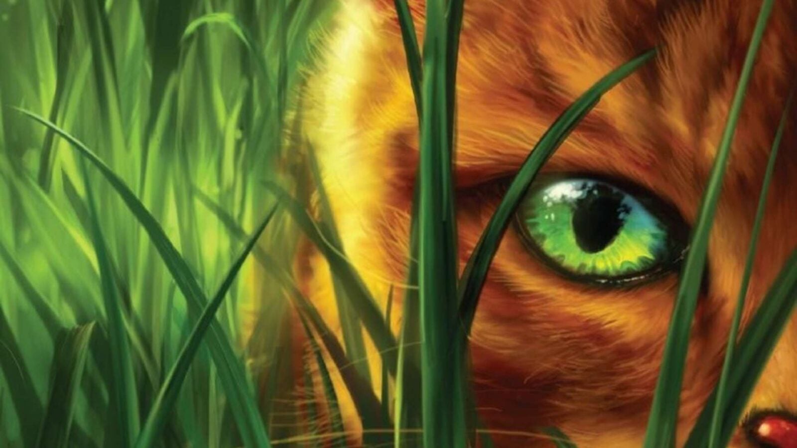 Warrior Cats Animated Series Coming to Disney Plus and Disney Channel in 2028 Fantasy Land News