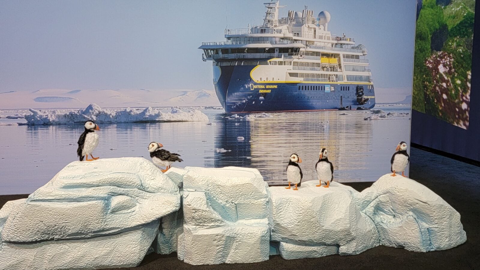 Display panel featuring a blue cruise ship with icy foreground and penguin figurines on white ice blocks in a polar exhibit backdrop