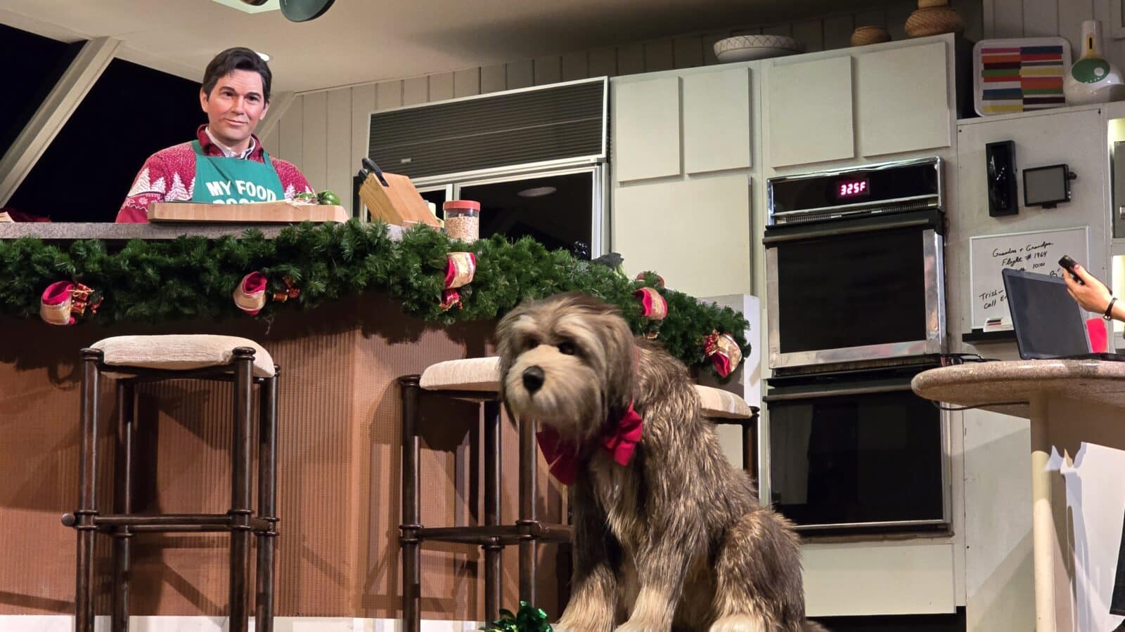 Man in a festive holiday sweater and green apron behind a garlanded kitchen counter a shaggy dog sits in the foreground