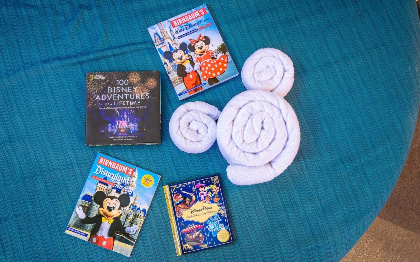 Disney Releases Summer Book Guide for Every Type of Parkgoer