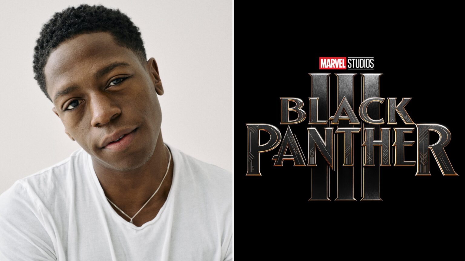 Póster de referencia Black Panther