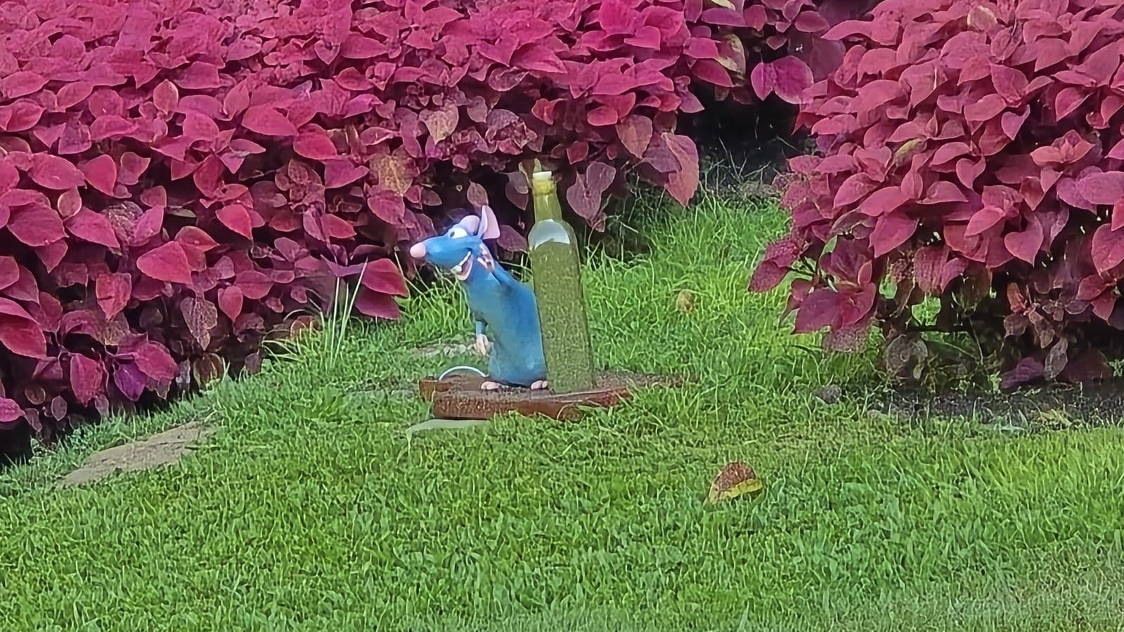 Whimsical blue rat statue standing upright beside a green bottle in front of bright pink purple hedge and green grass