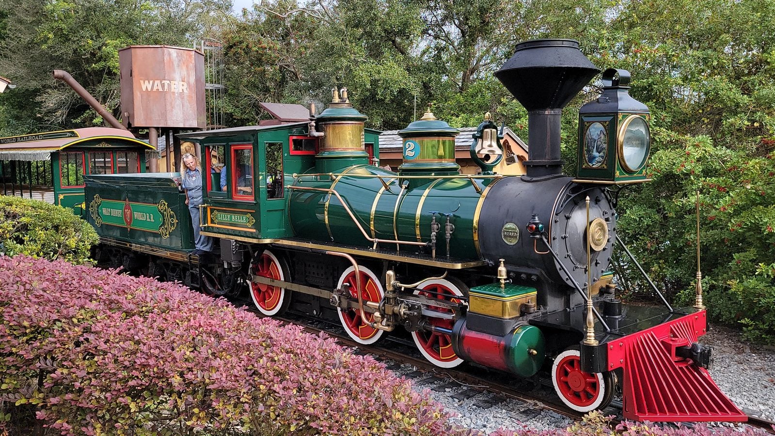 Vintage steam locomotive on tracks with green and gold detailing red wheels and pink leaved bushes in the foreground