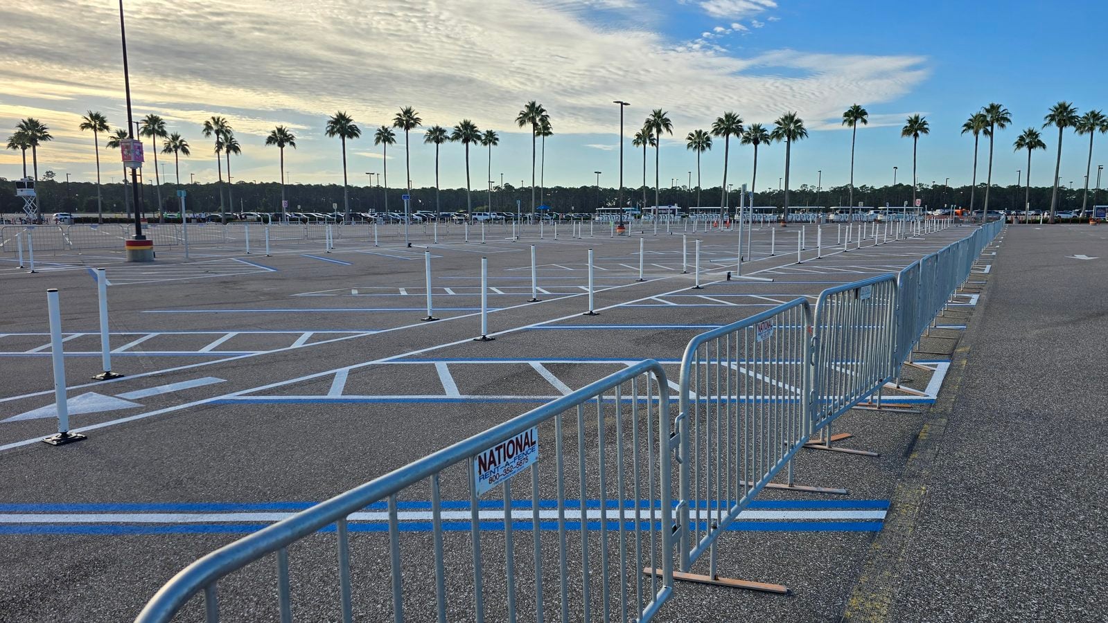 Wide view of an empty parking lot with numerous blue handicap spaces and white striped markings fencing and palm trees under a partly cloudy sky