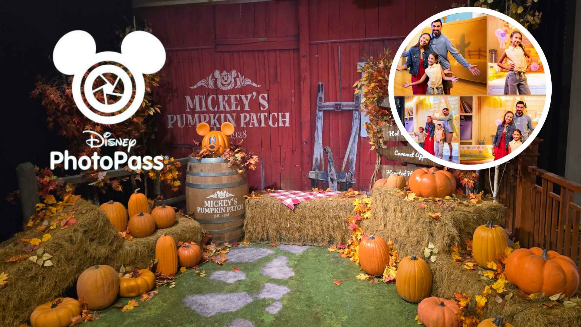 Disney PhotoPass Studio at Disney Springs Debuts Frozen and Toy Story Storybook Sets