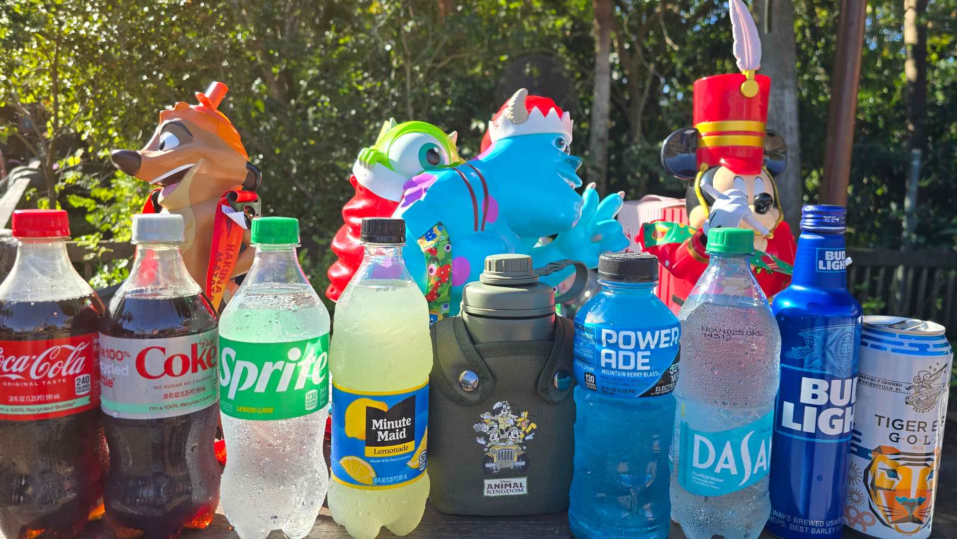 Disney World Bottled Drink Discount Ends for Passholders, DVC and Cast Members