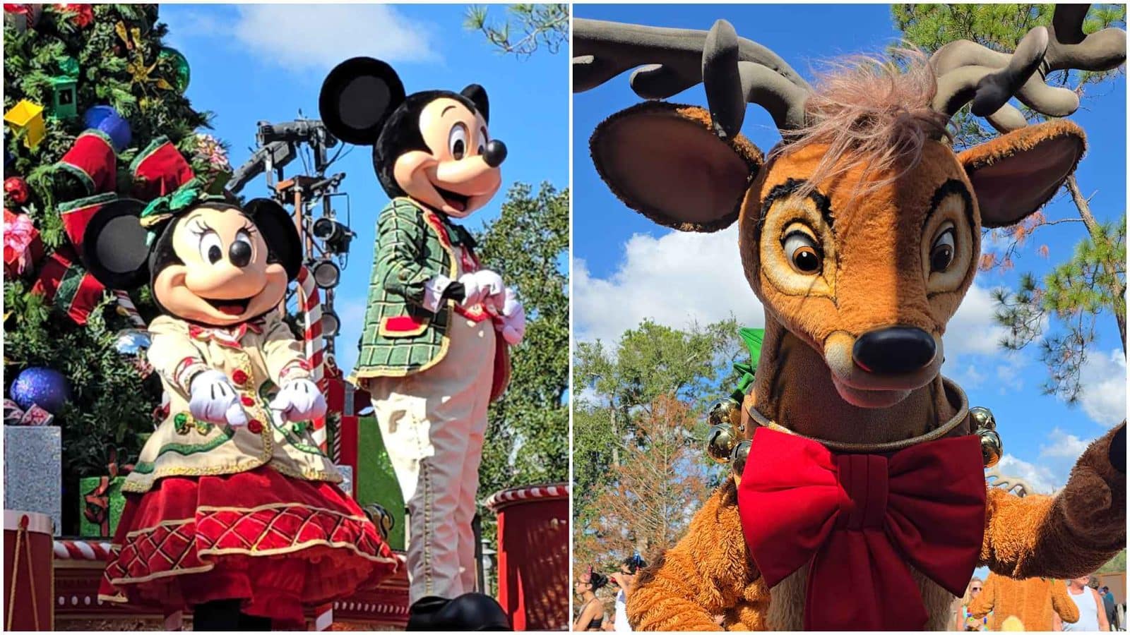 Collage of a Christmas parade Mickey and Minnie on a decorated float left panel a camelid reindeer mascot wearing a red bow on the right panel