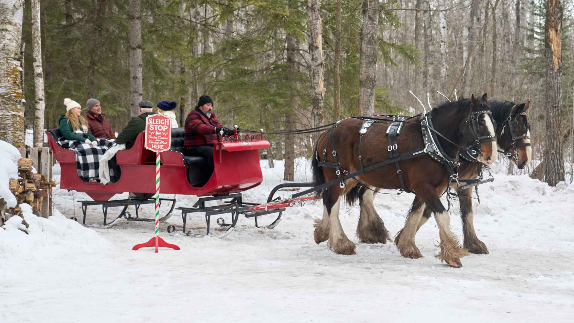 'Tis the Season for Setups Review: Hallmark Kicks Off Countdown to Christmas 2026
