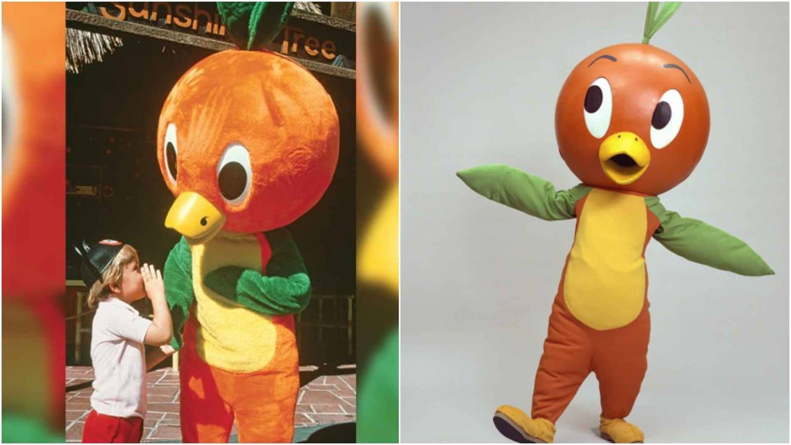 Walt Disney Archives Shares Rare Orange Bird Costume Photos for His 55th Anniversary